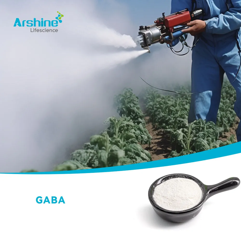 4-аминобутирическая кислота