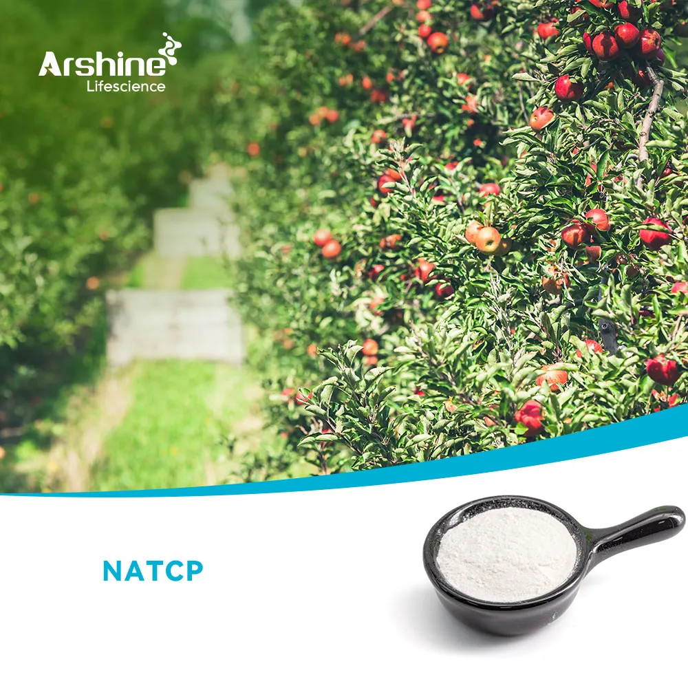 3,5,6-трихлорпиридин-2-оодиум