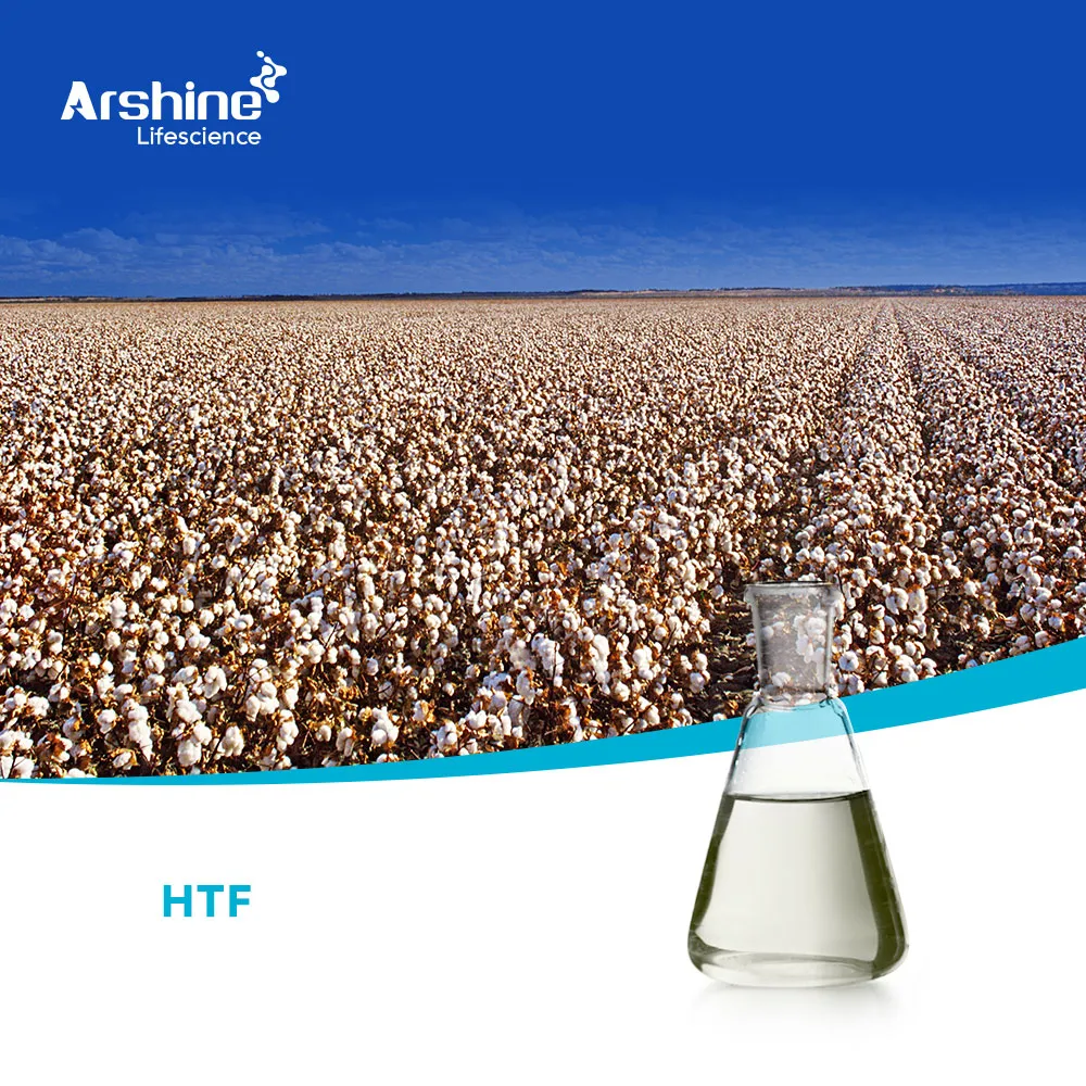 2-HYDROXY-6-(TRIFLUOROMETHYL)PYRIDINE