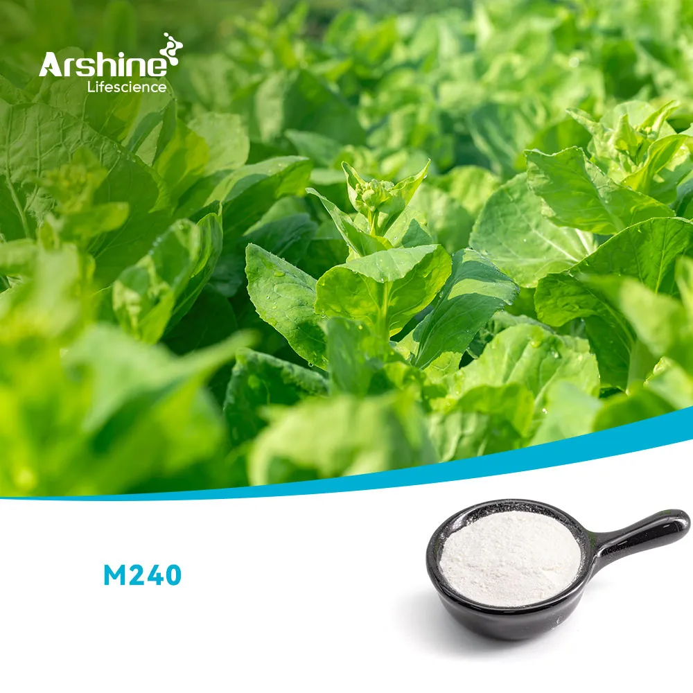 Метил (E) -3-метокси-2- (2-хлорметилфенил) -2-пропеноат； Метил-2- (2-хлорметию | фенил) -3-метоксикрилат 