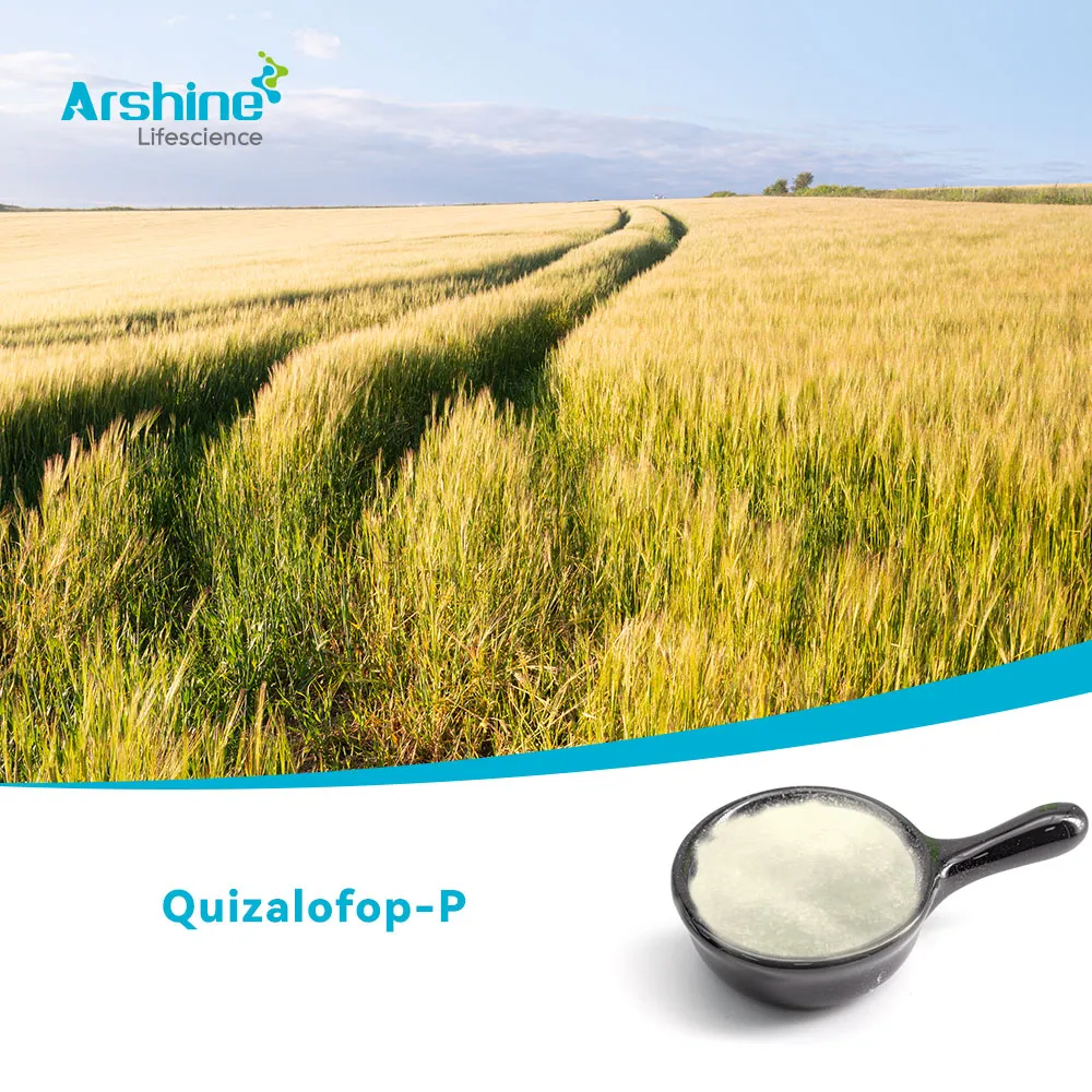 Квизалофоп-П