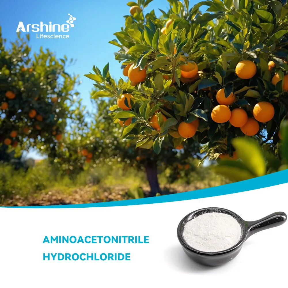 Аминоацетонитрил гидрохлорид