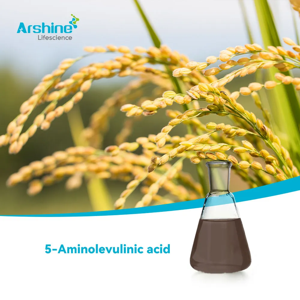 5-аминолевулиновая кислота