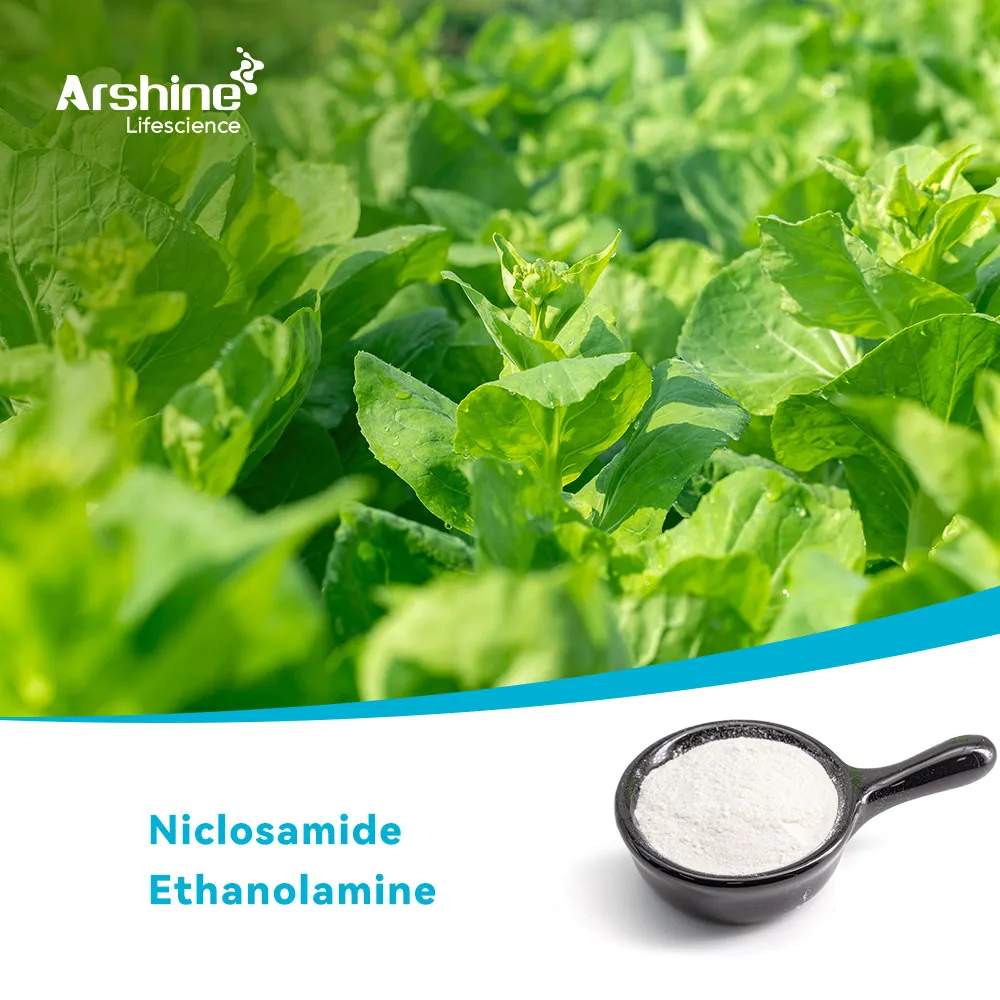 Molosultap/Nereistoxin